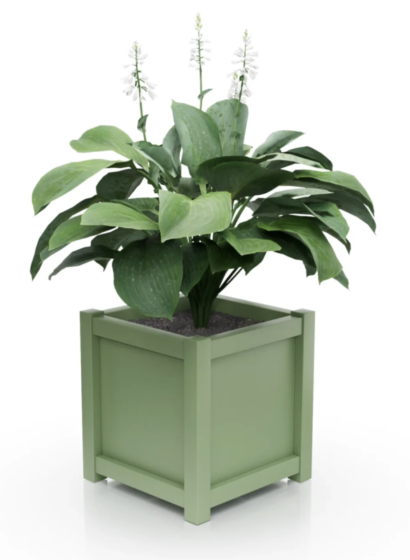 Pale green.png