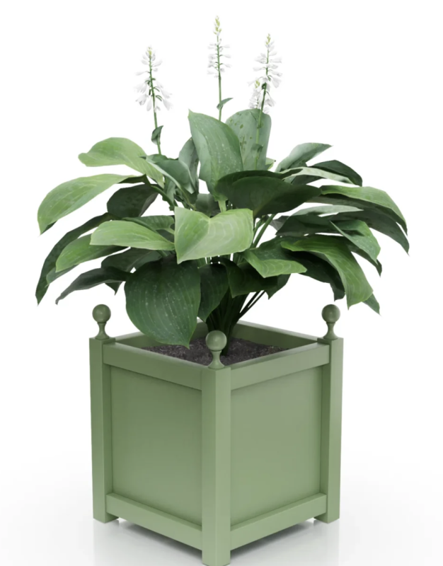 Pale green.png