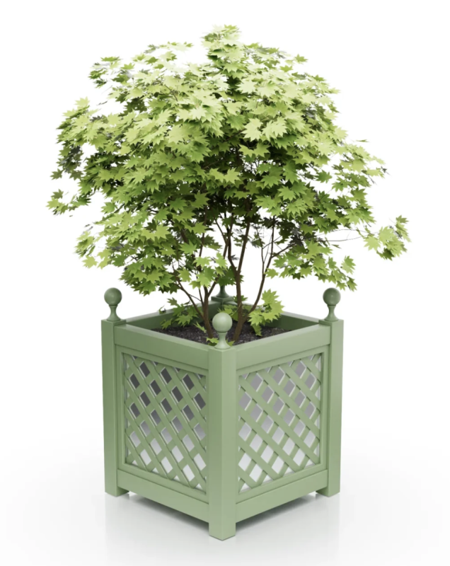 pale green.png