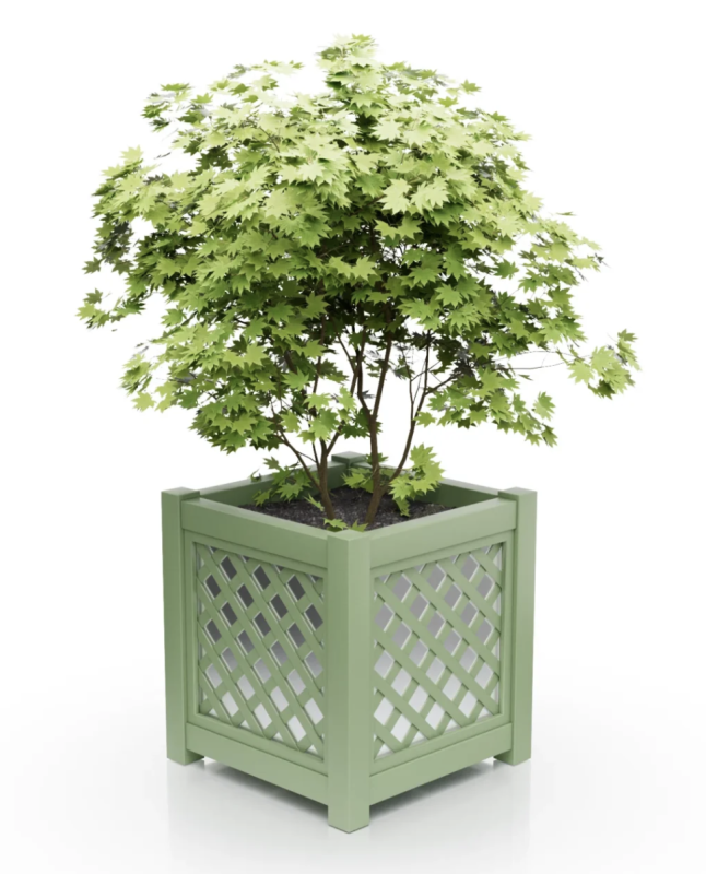 Pale green.png