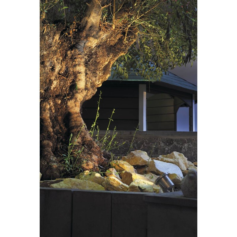 NAUTILUS ze źródłem światła