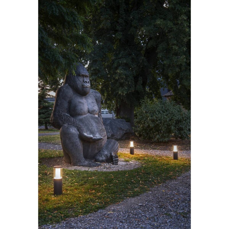 Głowica lampy :: M-POL M Polehead