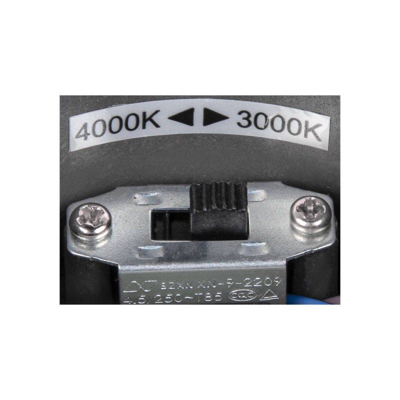 Lampa sufitowa :: OVALISK CL