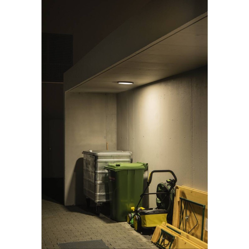 Lampa ścienna :: AINOS CW