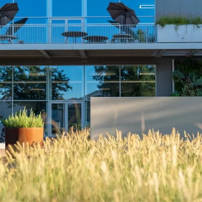 Ściana :: włókno szklane