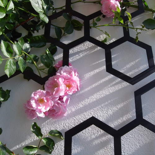 trejaż_metalowa_kratka_na_pnacza_COMBINATION