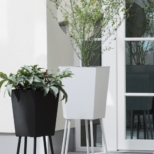 40_elevation (1).png