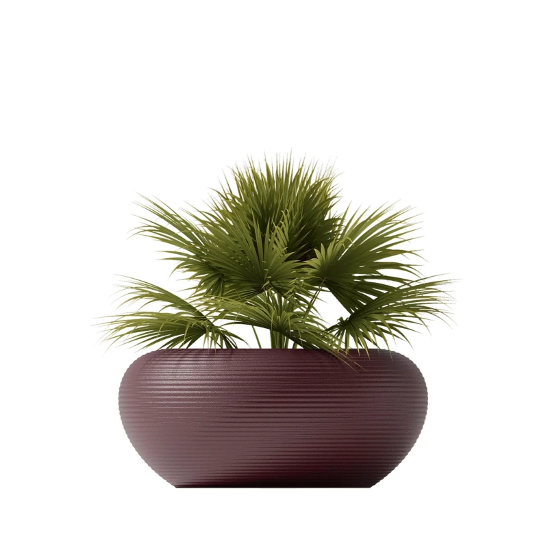 donica_qeeboo-nami-planter-stefano-giovannoni