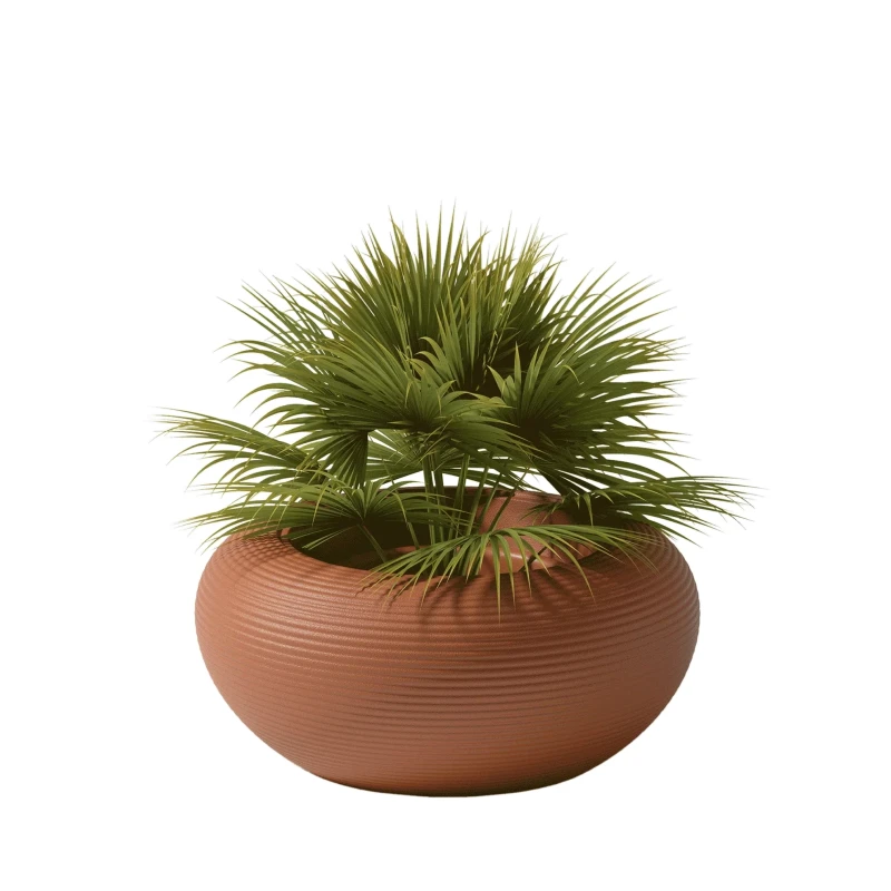 donica_qeeboo-nami-planter-stefano-giovannoni