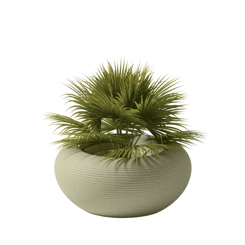 donica_qeeboo-nami-planter-stefano-giovannoni-sage-green-mix
