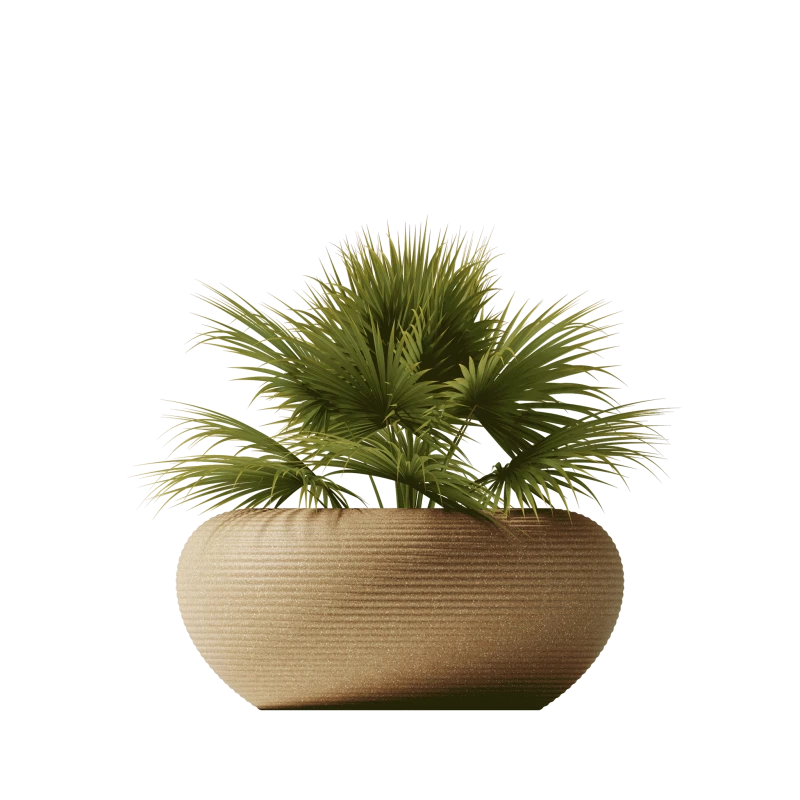 donica_qeeboo-nami-planter-stefano-giovannoni-golden-sand-mix
