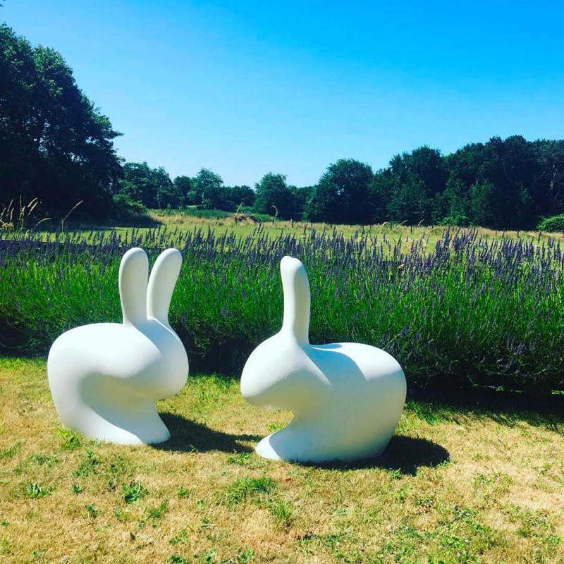 siedzisko_królik-qeeboo-rabbit-chair-by-stefano-giovannoni