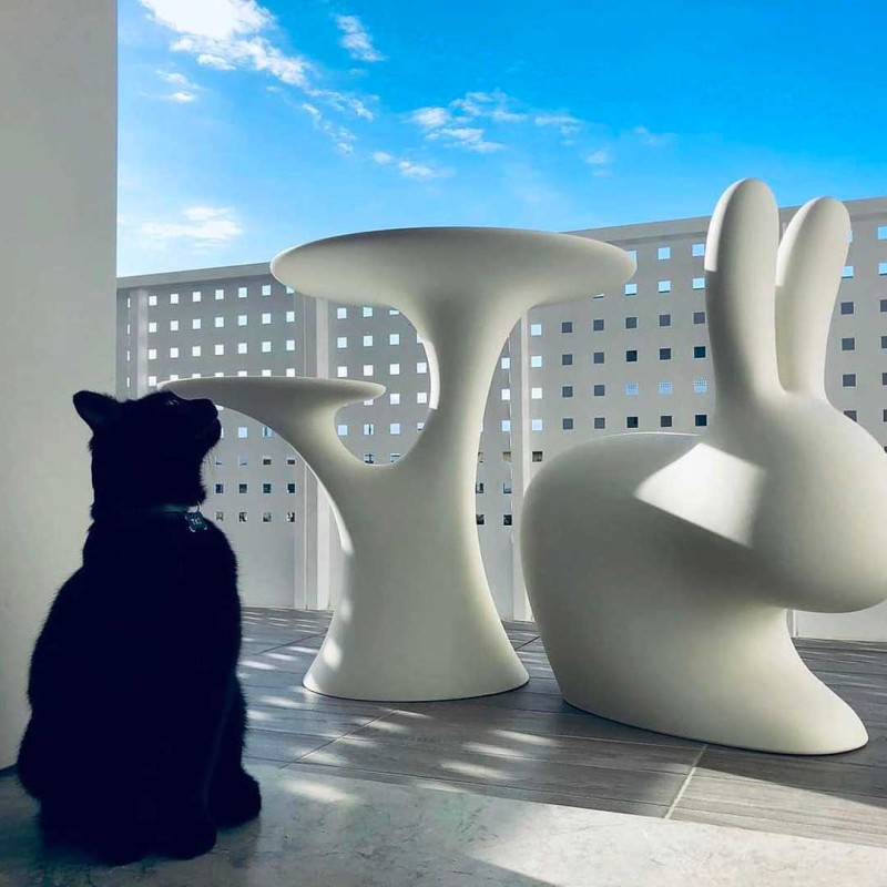 stolik-z-dwoma-blatami-qeeboo-piero-fasanotto-michele-branca-rabbit-tree-design-stefano-giovannoni