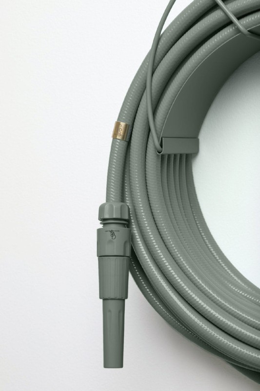 eucalyptus_garden_glory