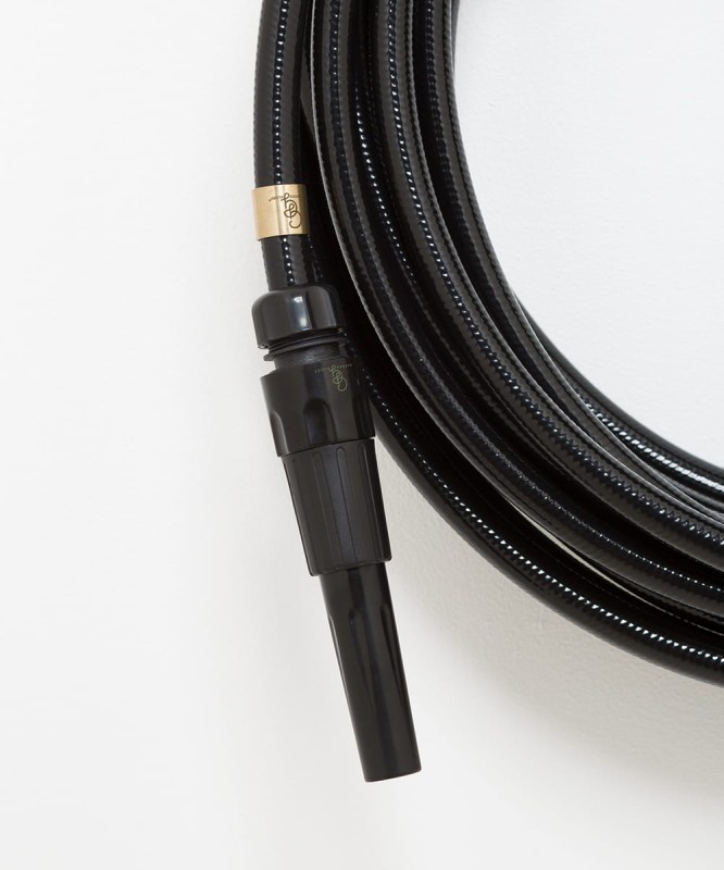 Dysza_ogrodowa_Garden_glory