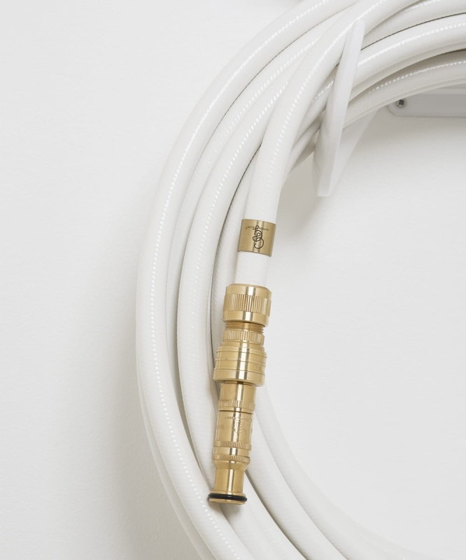 Dysza_ogrodowa_Garden_glory