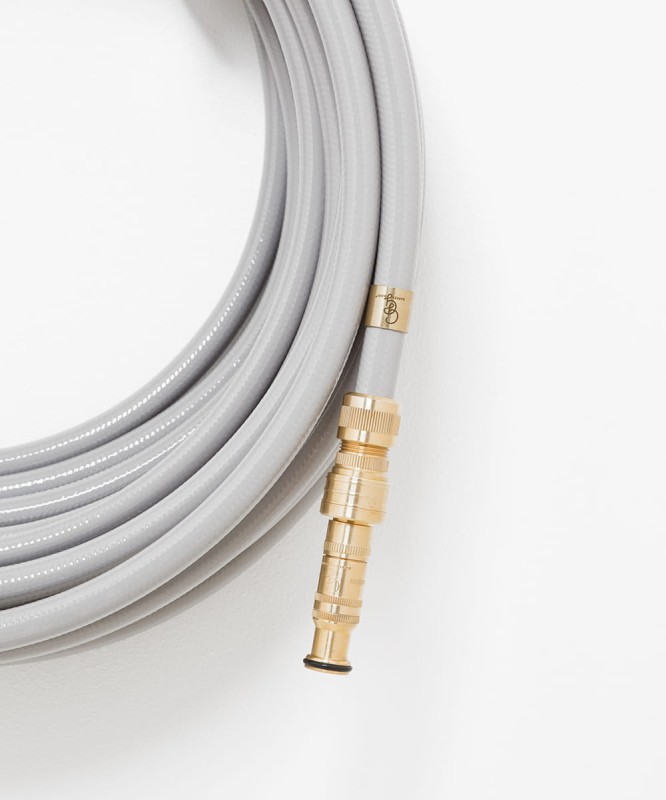 Dysza_ogrodowa_Garden_glory