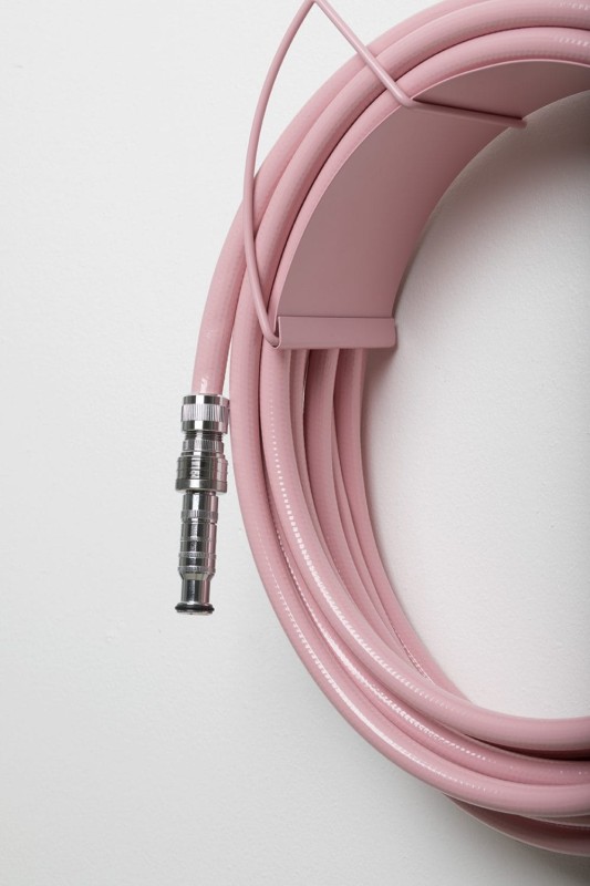 Dysza_ogrodowa_Garden_glory