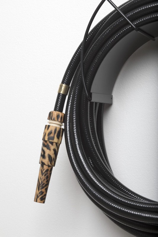 Dysza_ogrodowa_Garden_glory_Leopard