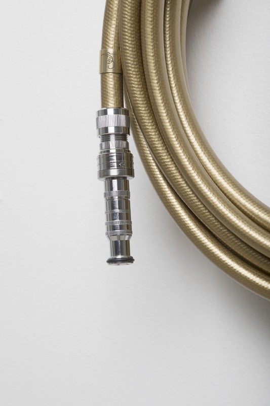 Dysza_ogrodowa_Garden_glory