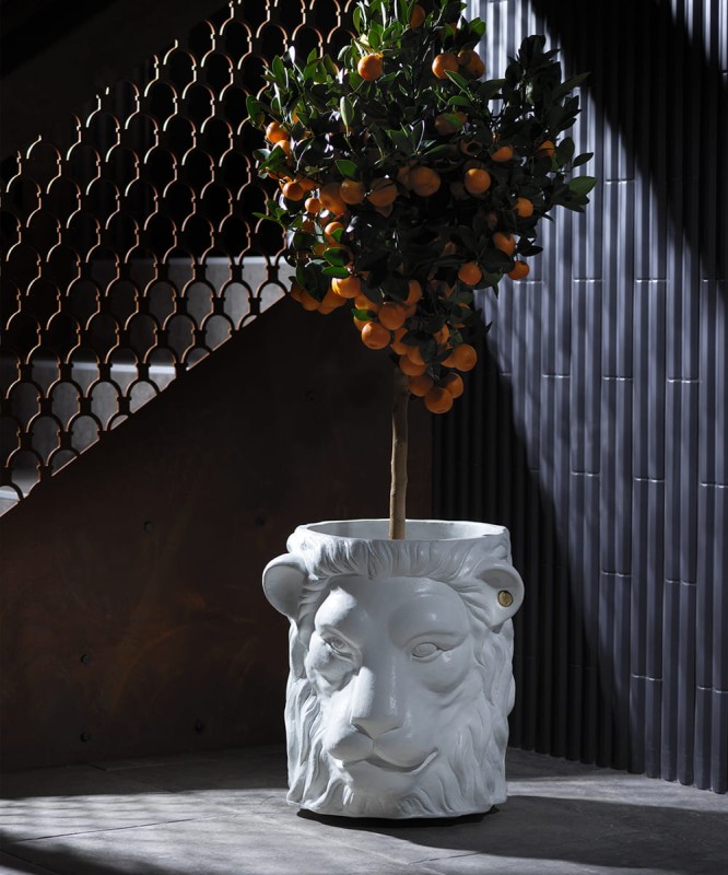 Donica w kształcie głowy lwa :: GardenGlory