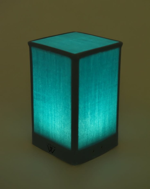 LP6577-A2-C22 light.jpg