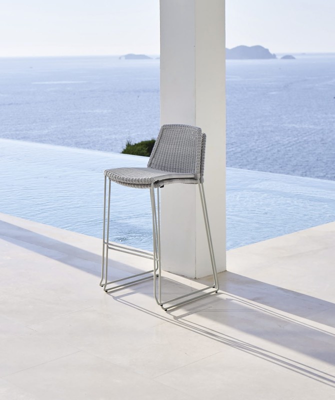 Hoker_barowy_BREEZE_caneline